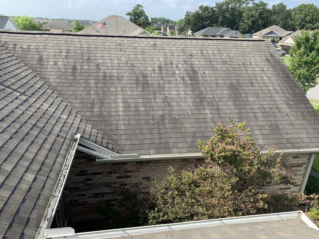 Dirty roof in Gulf Shores